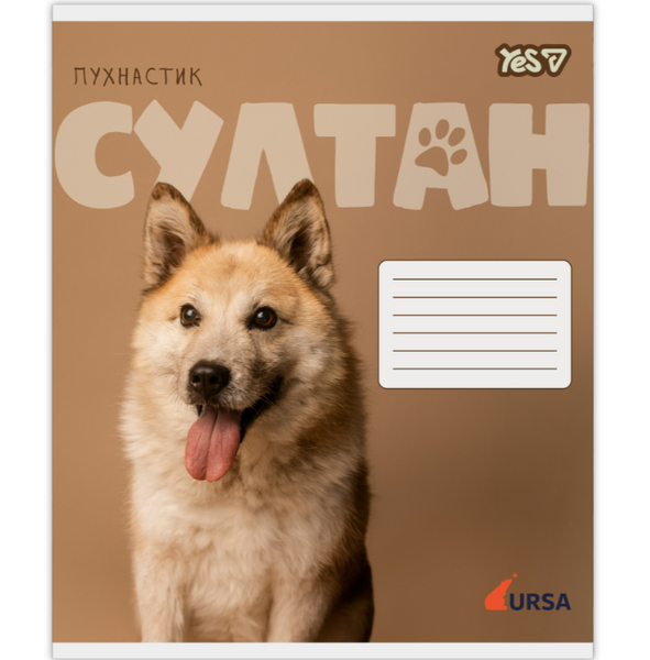 Зошит шкільний в лінію 18 аркушів Yes, Ursa Тварини (5 видів) 768955 фото