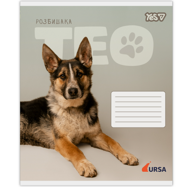 Зошит шкільний в лінію 18 аркушів Yes, Ursa Тварини (5 видів) 768955 фото
