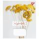 Зошит шкільний в лінію 48 аркушів Yes, Believe in yourself 767123 фото 6