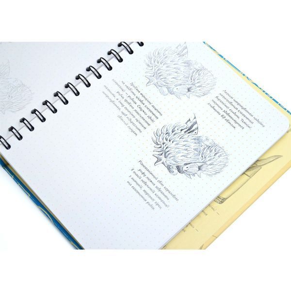 SketchBook Експрес-курс малювання. Малюємо море 262022 фото