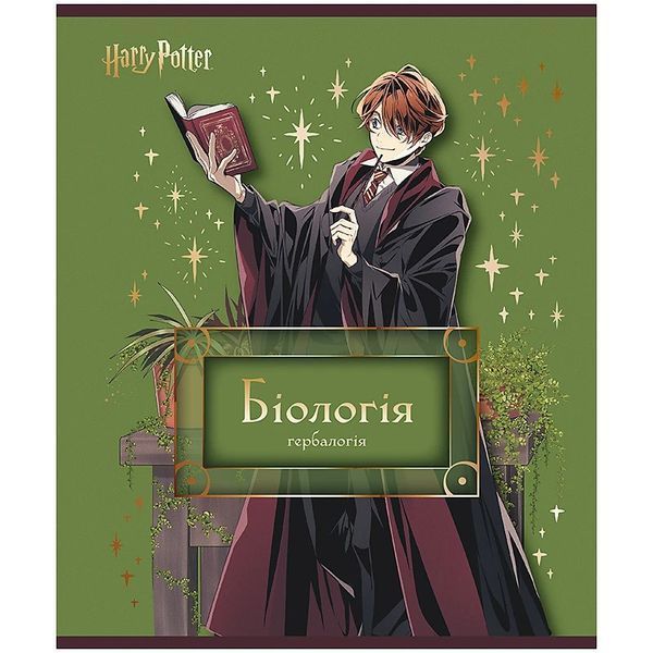 Набір шкільних предметних зошитів в Kite Harry Potter 9 предметів 10 зошитів HP25-240-1-9 фото