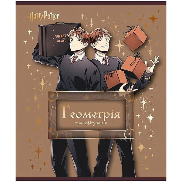 Набір шкільних предметних зошитів в Kite Harry Potter 9 предметів 10 зошитів HP25-240-1-9 фото
