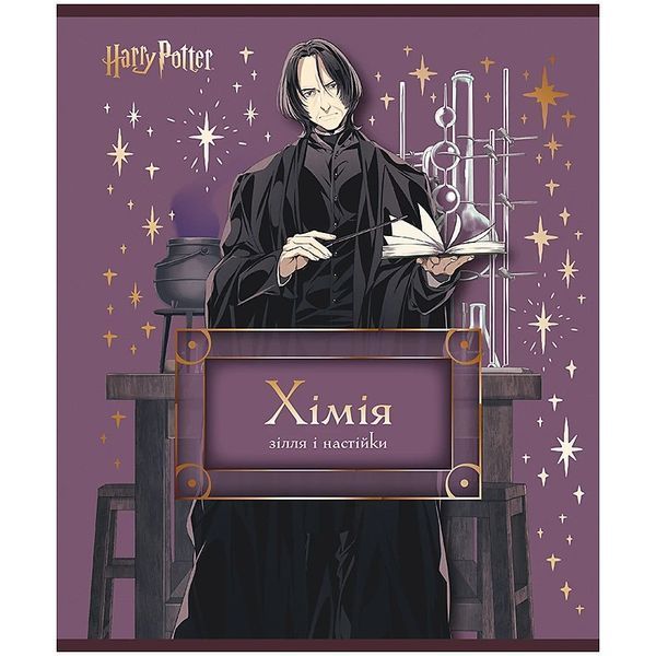 Набір шкільних предметних зошитів в Kite Harry Potter 9 предметів 10 зошитів HP25-240-1-9 фото