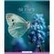 Зошит шкільний в клітинку 96 аркушів Star, Macro world (5 видів) 096-3763K фото 5