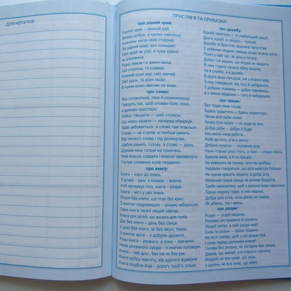 Шкільний щоденник, тверда обкладинка, міні Мандарин Котик у вишиванці 5004-25093 фото