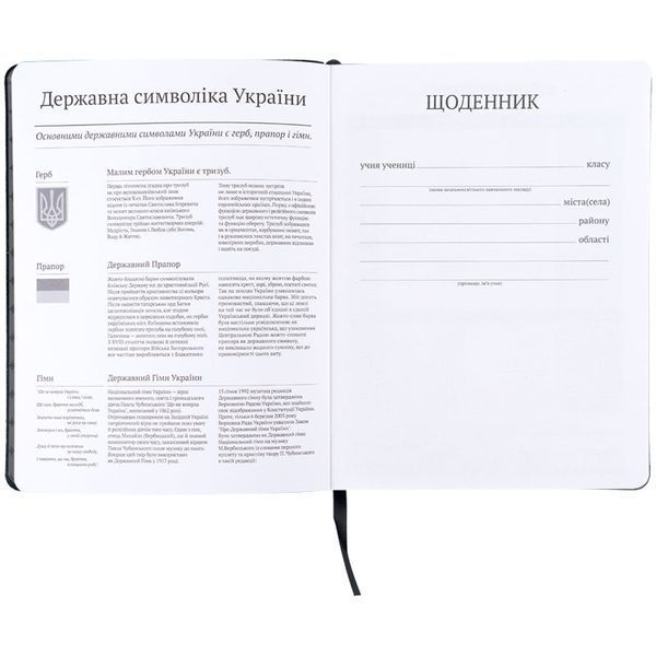 Шкільний щоденник, обкладинка PU Kite It's OK K26-283-5 фото