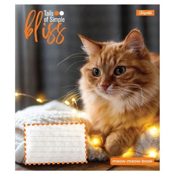 Зошит шкільний в косу лінію 12 аркушів 1 Вересня, Bliss (5 видів) 768053 фото Зошит шкільний в косу лінію 12 аркушів 1 Вересня, Bliss (5 видів) 768053 фото