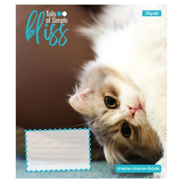 Зошит шкільний в косу лінію 12 аркушів 1 Вересня, Bliss (5 видів) 768053 фото Зошит шкільний в косу лінію 12 аркушів 1 Вересня, Bliss (5 видів) 768053 фото