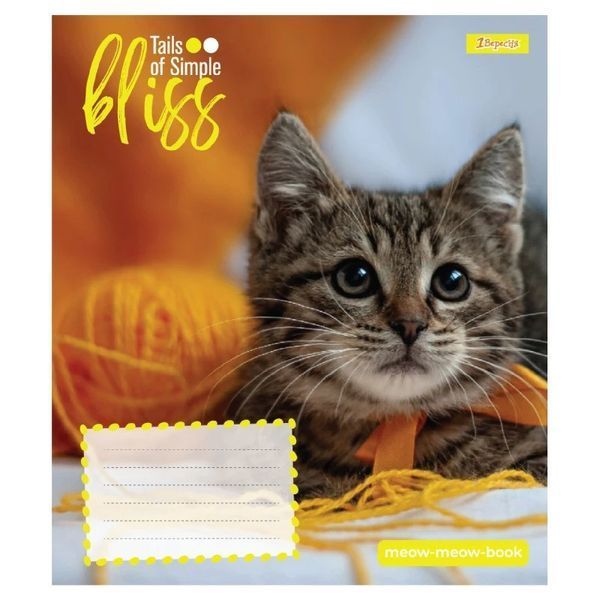 Зошит шкільний в косу лінію 12 аркушів 1 Вересня, Bliss (5 видів) 768053 фото Зошит шкільний в косу лінію 12 аркушів 1 Вересня, Bliss (5 видів) 768053 фото