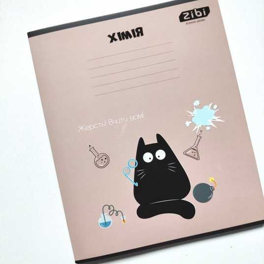 Купити Набір предметних зошитів ZiBi Crazy Cat 48 аркушів 10 шт 8