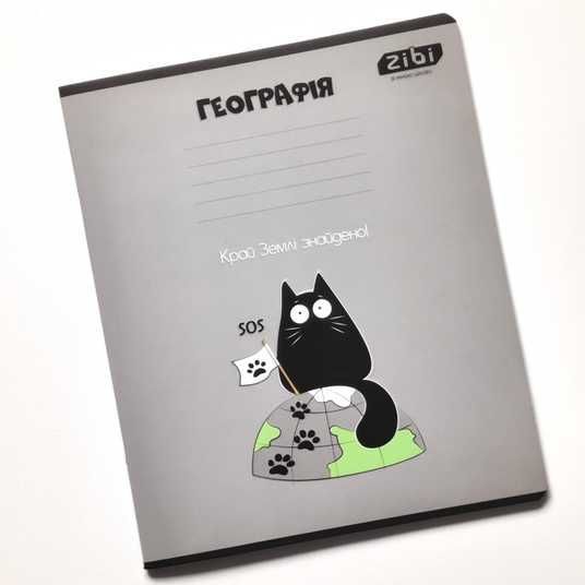 Купити Набір предметних зошитів ZiBi Crazy Cat 48 аркушів 10 шт 8