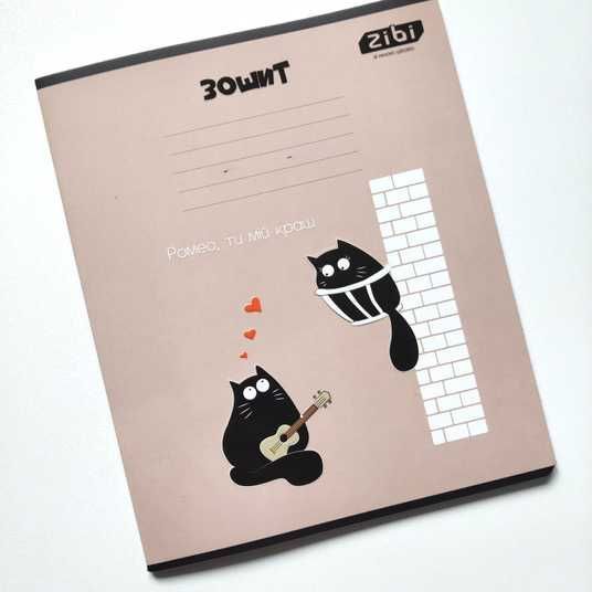 Купити Набір предметних зошитів ZiBi Crazy Cat 48 аркушів 10 шт 8