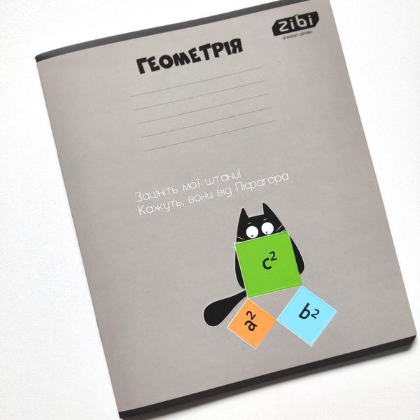 Набір предметних зошитів ZiBi Crazy Cat 48 аркушів 10 шт 8 предметів ZB.1703-99 фото