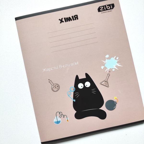Набір предметних зошитів ZiBi Crazy Cat 48 аркушів 10 шт 8 предметів ZB.1703-99 фото