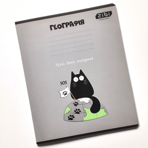 Набір предметних зошитів ZiBi Crazy Cat 48 аркушів 10 шт 8 предметів ZB.1703-99 фото